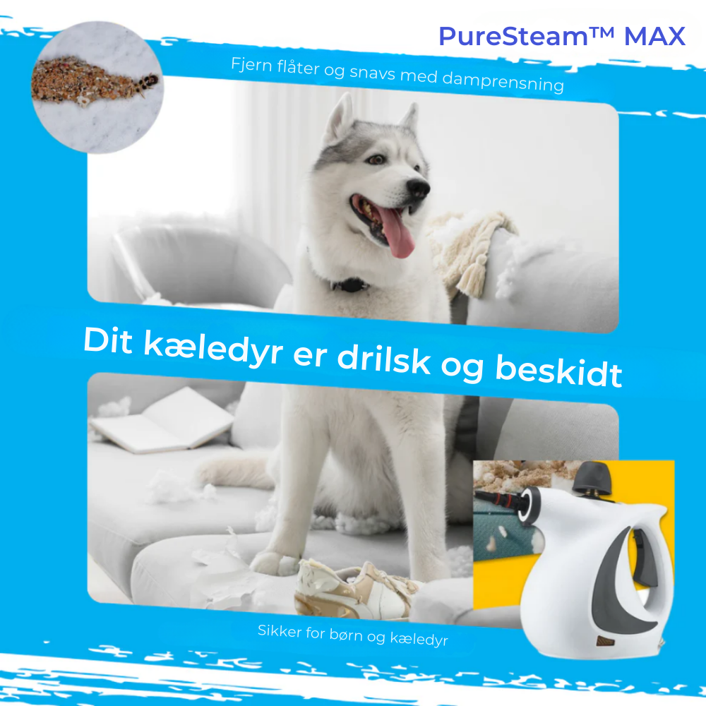 PureSteam™ MAX | Dybtgående rengøring uden kemikalier – klar på få sekunder