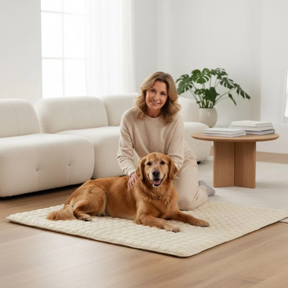 ChillPaw™ | Giv din hund et køligere sted at hvile