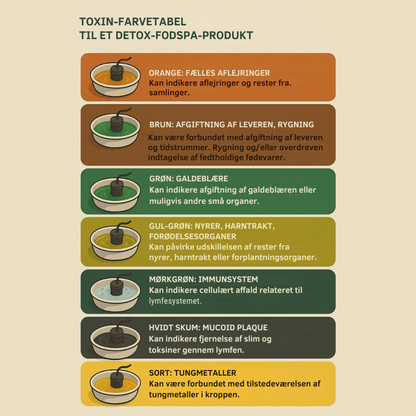 MrDetox™ | Rens kroppen – start fra fødderne