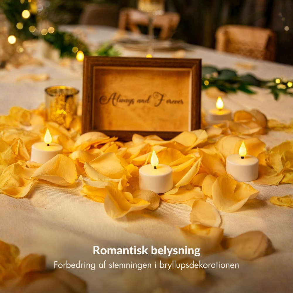 EverGlow™ | Skab hyggelig lysstemning uden åben ild