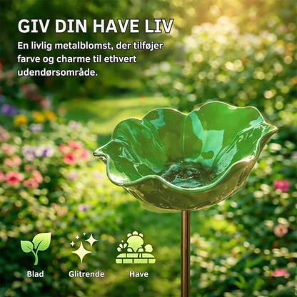 FloraOasis™ | Giv haven mere liv, farve og ro