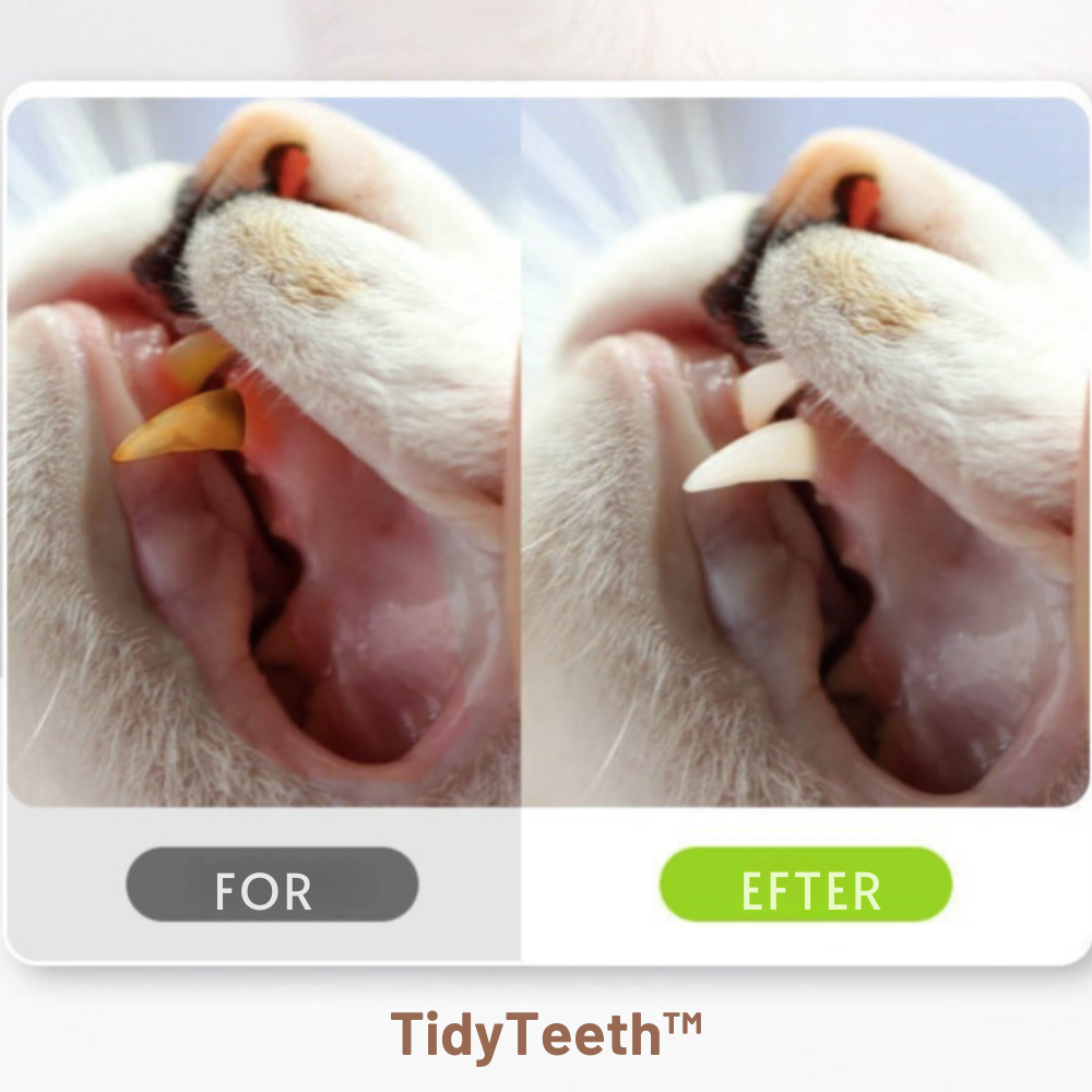 TidyTeeth™ | Naturlig Silvervine Stick tyggelegetøj til katte