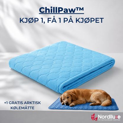 ChillPaw™ | Giv din hund et køligere sted at hvile