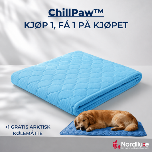 ChillPaw™ | Giv din hund et køligere sted at hvile