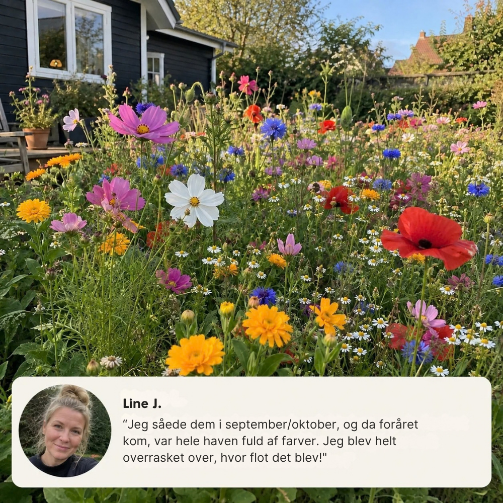 FlowerBurst™ | Så nu og glæd dig til foråret