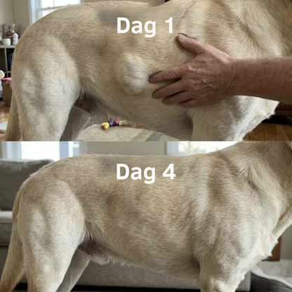 PawVital™ | Hjælp din hund med at føle sig mere som sig selv igen