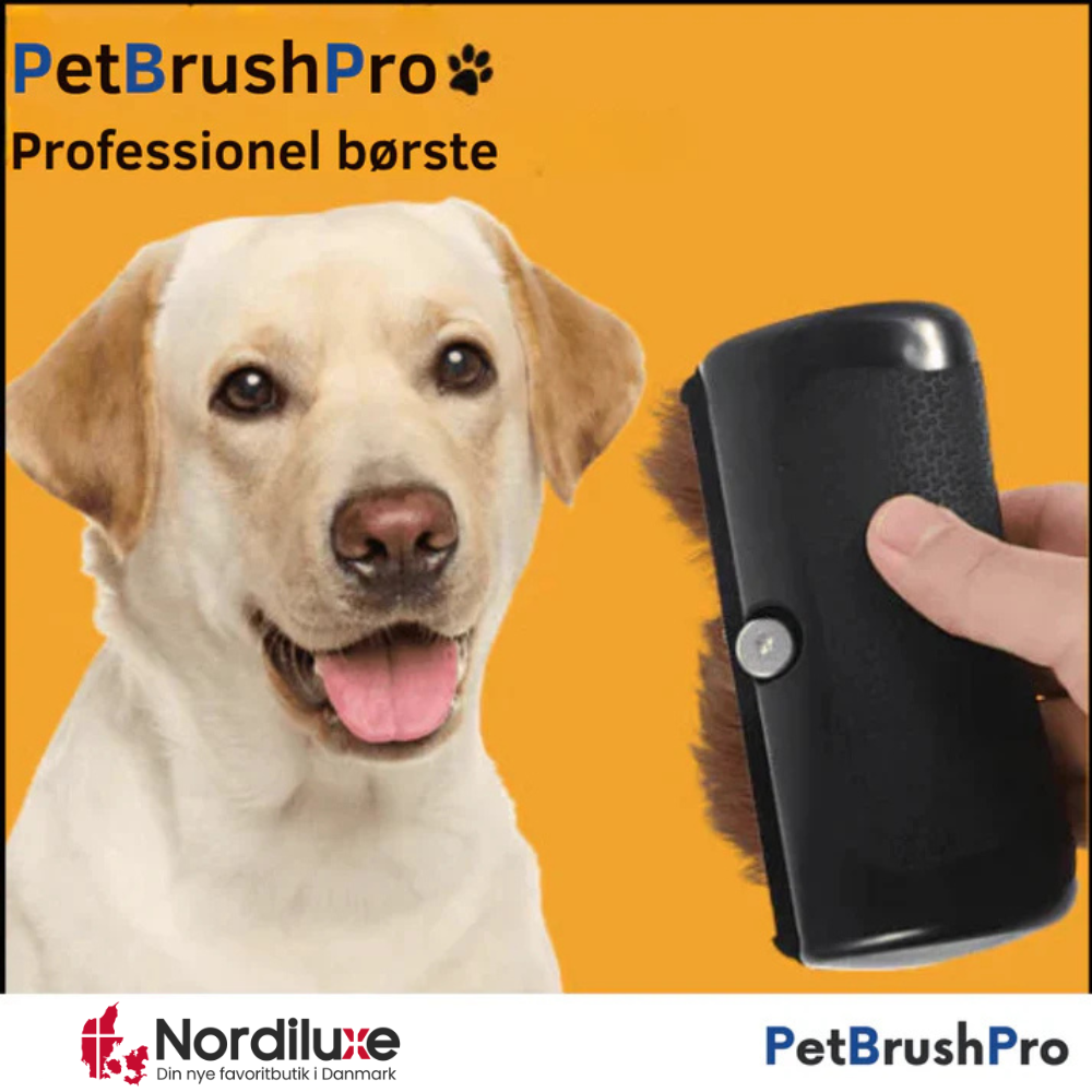 PetBrush™ Pro | Den ultimative hundebørste mod fældning og lopper