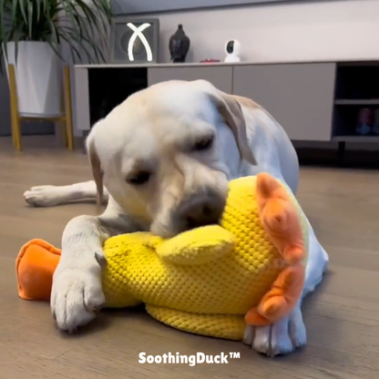 SoothingDuck™ | Anti-stress-anden til din hund