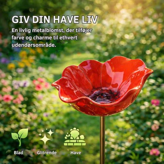 FloraOasis™ | Giv haven mere liv, farve og ro