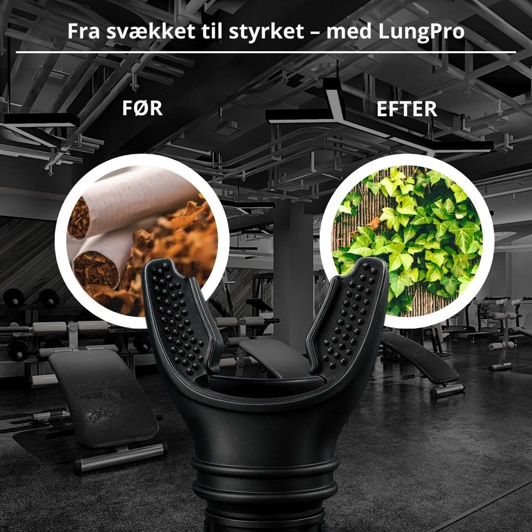 LungPro™ | Genopliv din luft, ånd bedre hver dag