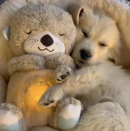 SleepBuddy™ | Odderen, der giver hvile og søvn