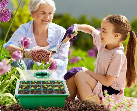 UrbanEco™ | Indendørs væksthus med LED og luftcirkulation