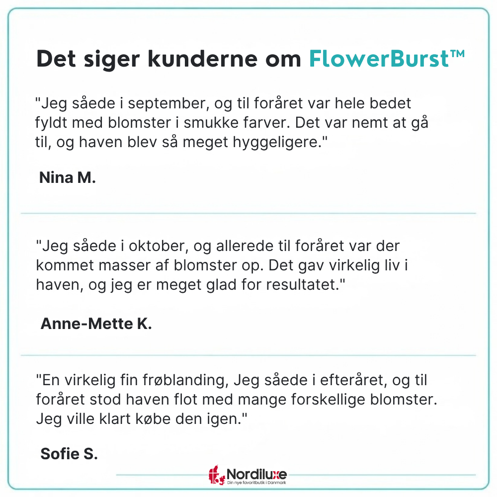 FlowerBurst™ | Så nu og glæd dig til foråret