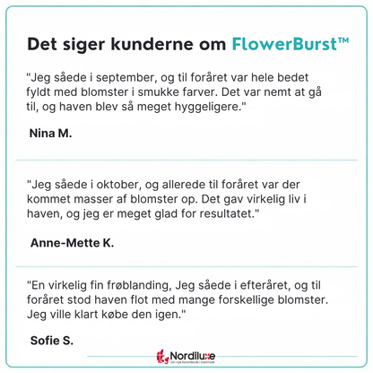 FlowerBurst™ | Så nu og glæd dig til foråret