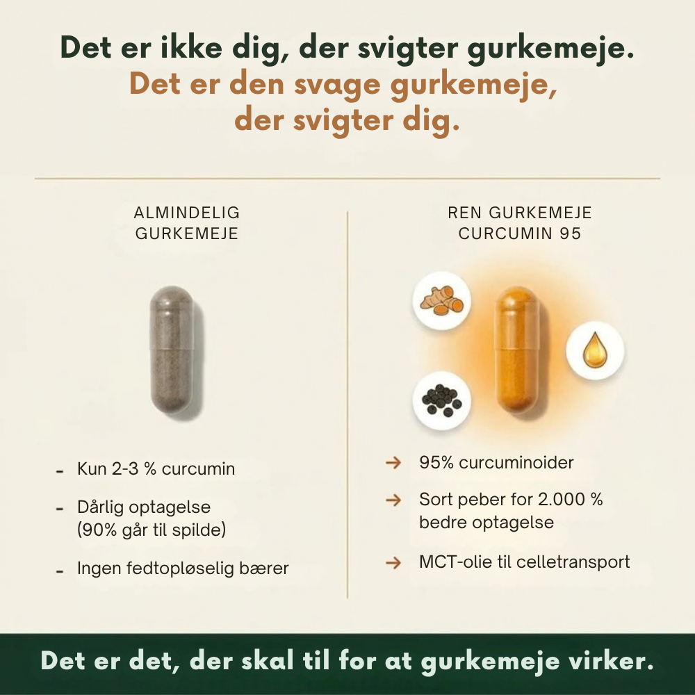 Relivon™ | Mere bevægelighed med bedre optaget curcumin