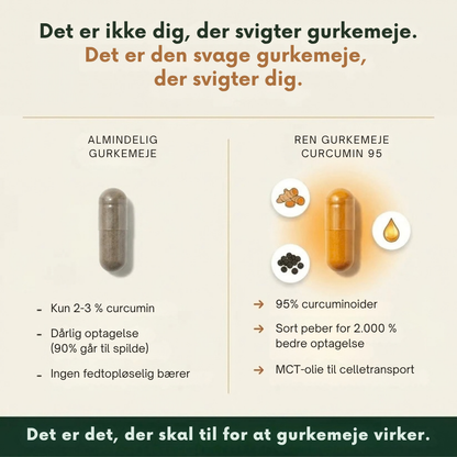 Relivon™ | Mere bevægelighed med bedre optaget curcumin