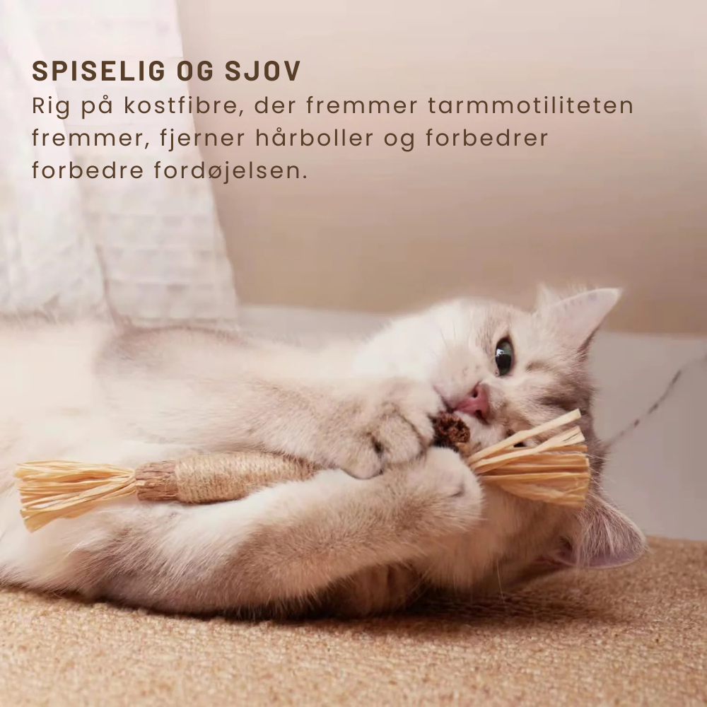 TidyTeeth™ | Naturlig Silvervine Stick tyggelegetøj til katte