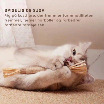 TidyTeeth™ | Naturlig Silvervine Stick tyggelegetøj til katte