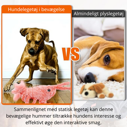 BouncyClaws™ | Hundesjov med hoppende hummer