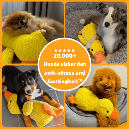 SoothingDuck™ | Anti-stress-anden til din hund