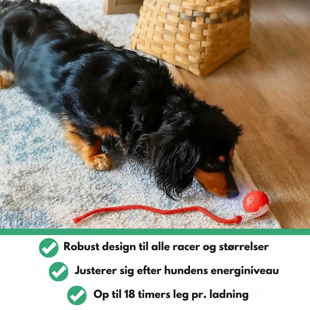 MagicBall™ | Aktiv leg – selv når du ikke er med