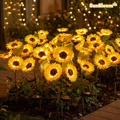 SunBloom™ | Giv haven et varmt og magisk aftenlys
