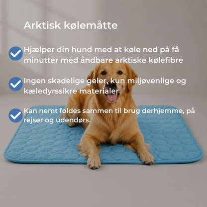 ChillPaw™ | Giv din hund et køligere sted at hvile