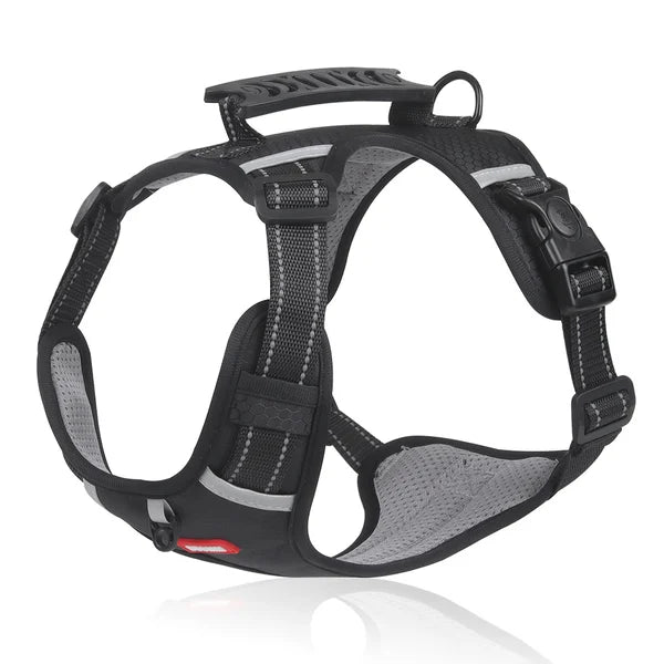 WalkEase™ | Gør gåture rolige og behagelige igen