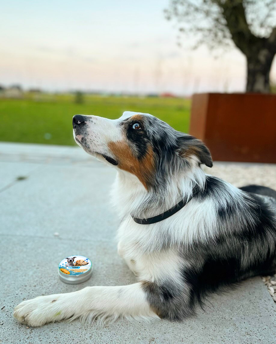 TEEKUIT™ | 8-måneders beskyttelse mod lopper og flåter