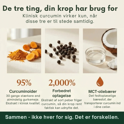 Relivon™ | Mere bevægelighed med bedre optaget curcumin