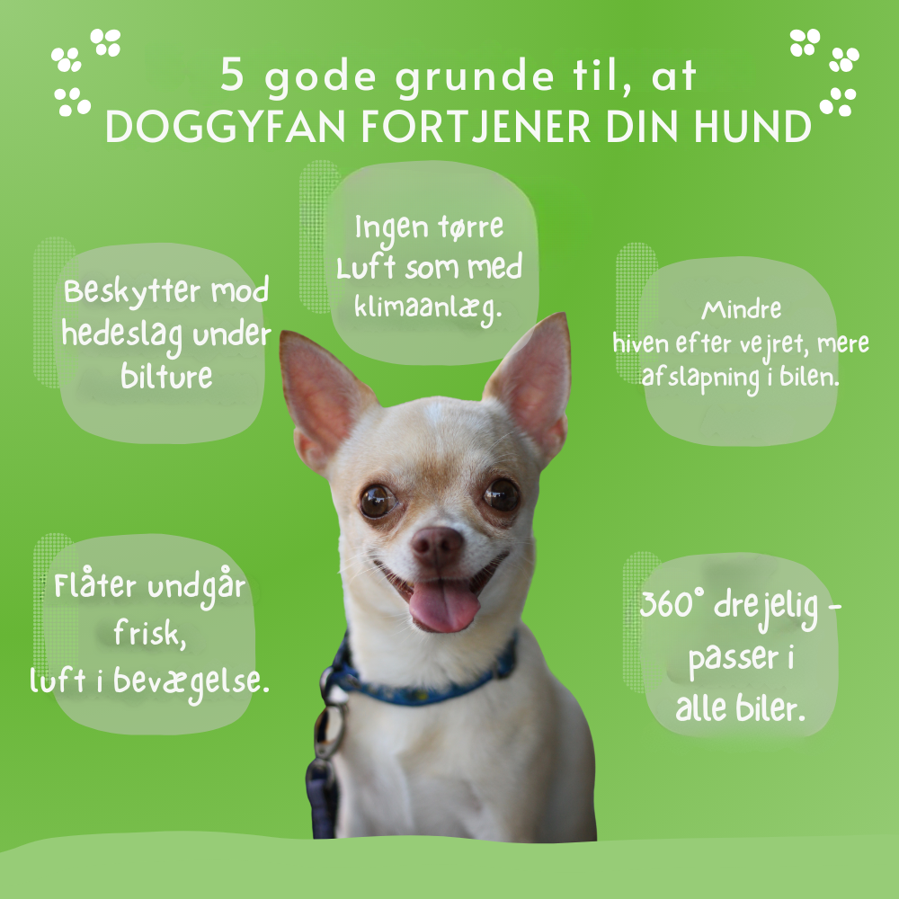 DoggyFan™ | Vinder af rejsegadgets 2025