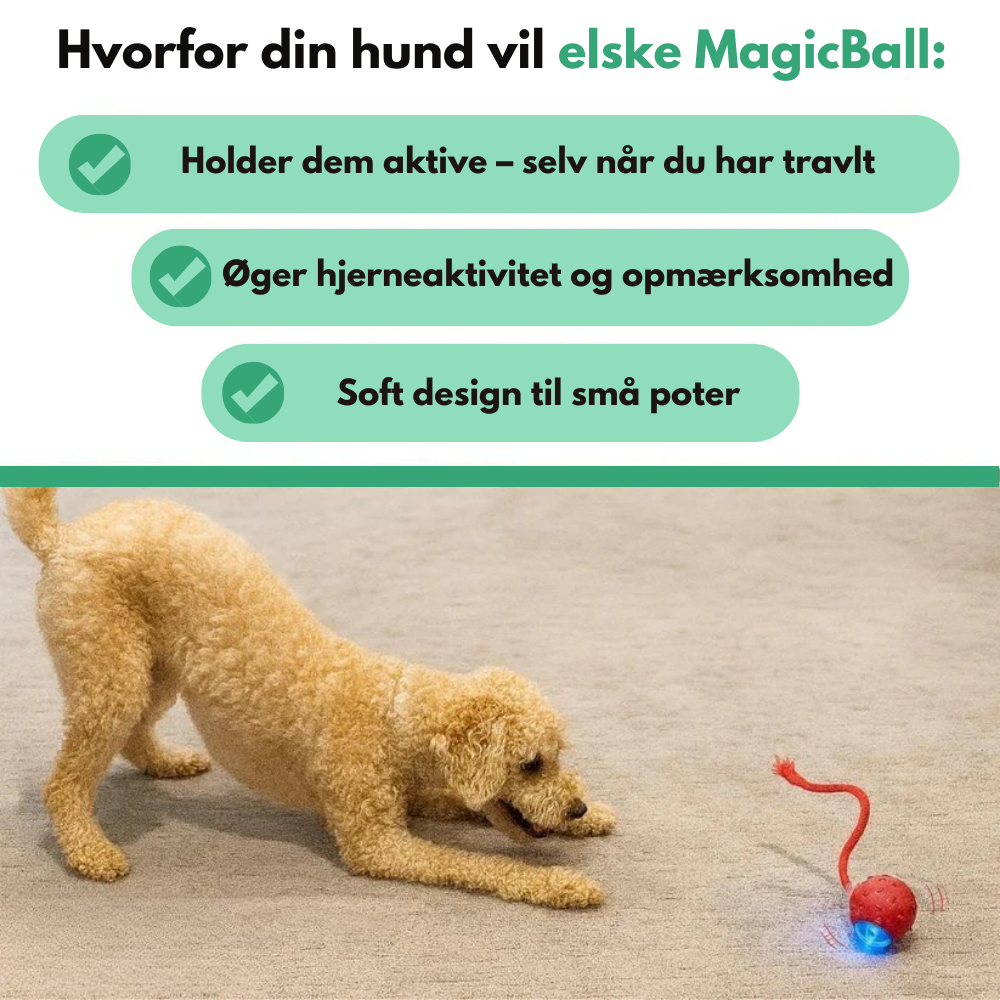 MagicBall™ | Aktiv leg – selv når du ikke er med