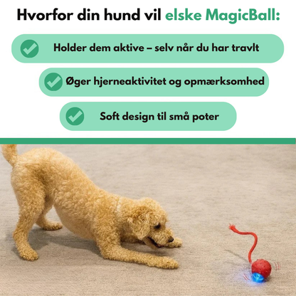 MagicBall™ | Aktiv leg – selv når du ikke er med