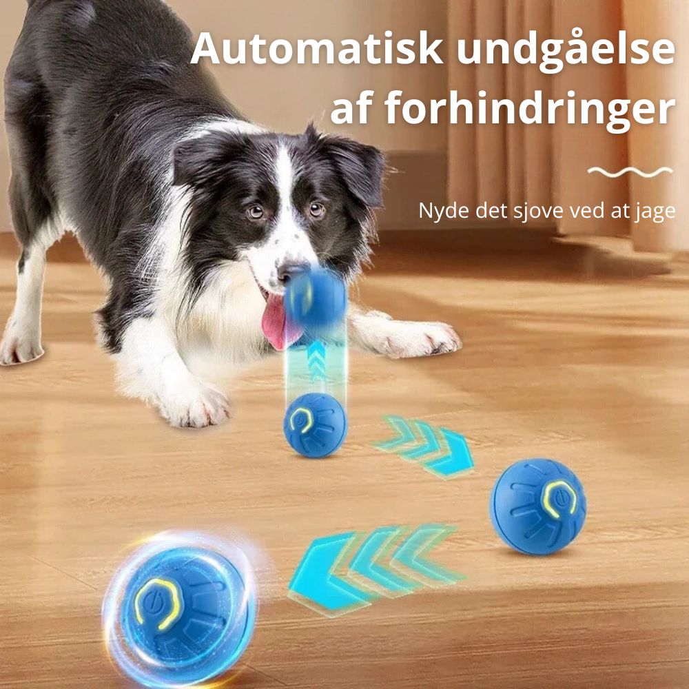 BounceMate™ | Interaktiv Bold Til Kæledyr