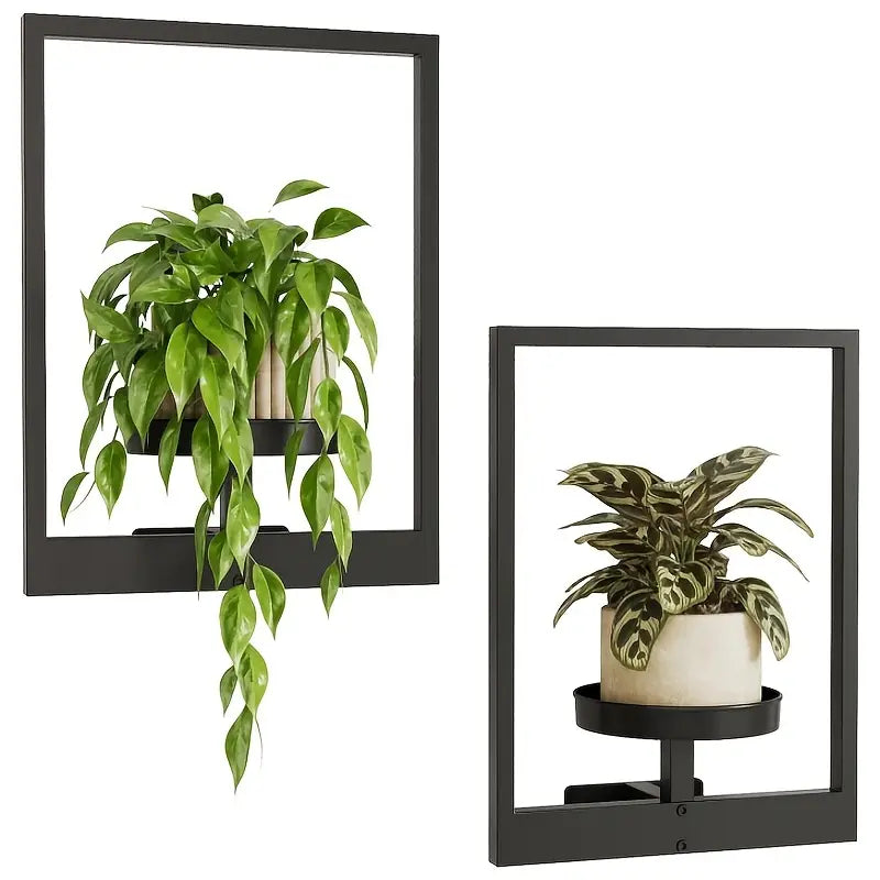 FlowerFrame™ | Gør planter til levende vægkunst i dit hjem