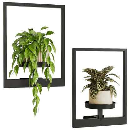 FlowerFrame™ | Gør planter til levende vægkunst i dit hjem