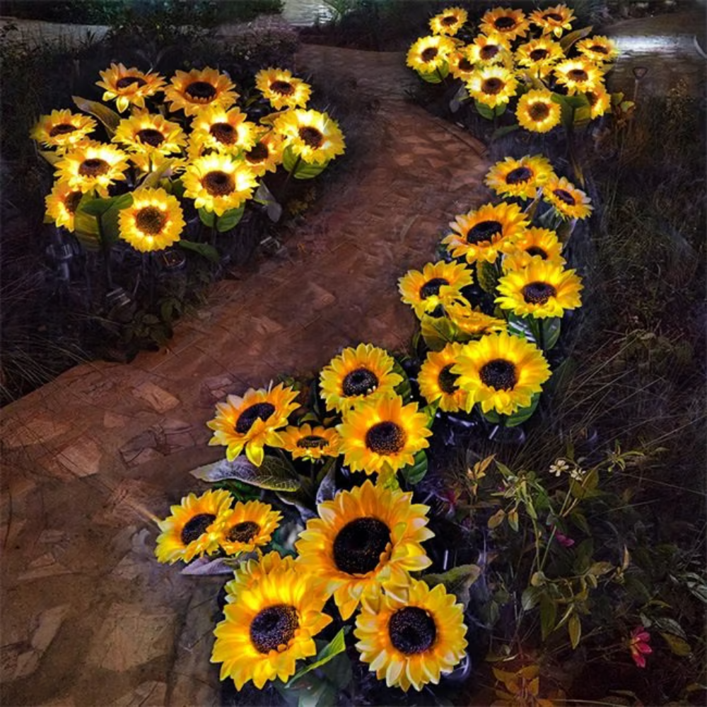 SunBloom™ | Giv haven et varmt og magisk aftenlys