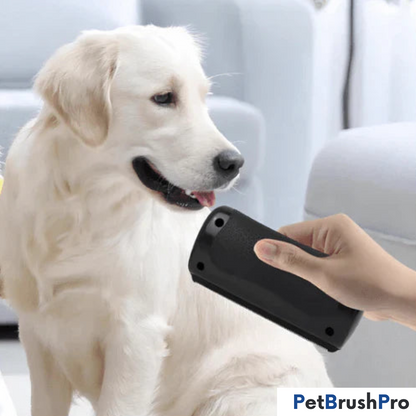 PetBrush™ Pro | Den ultimative hundebørste mod fældning og lopper