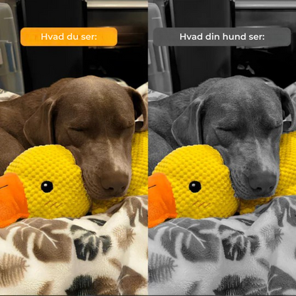 SoothingDuck™ | Anti-stress-anden til din hund