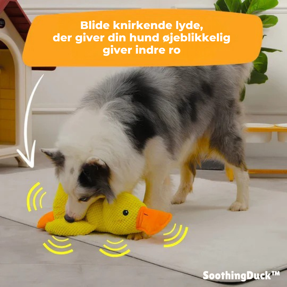 SoothingDuck™ | Anti-stress-anden til din hund