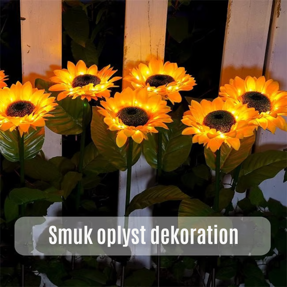 SunBloom™ | Giv haven et varmt og magisk aftenlys