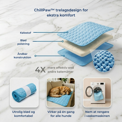 ChillPaw™ | Giv din hund et køligere sted at hvile