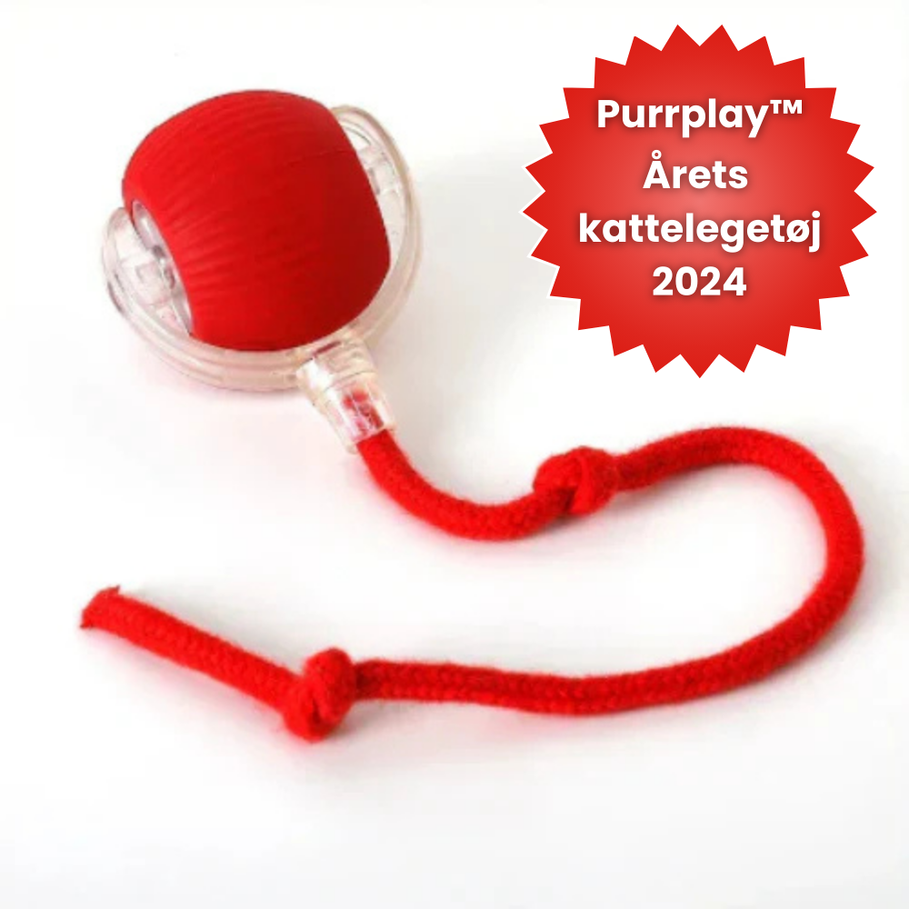 PurrPlay Ball™ | Stop kedsomhed og ødelagt inventar hos din kat