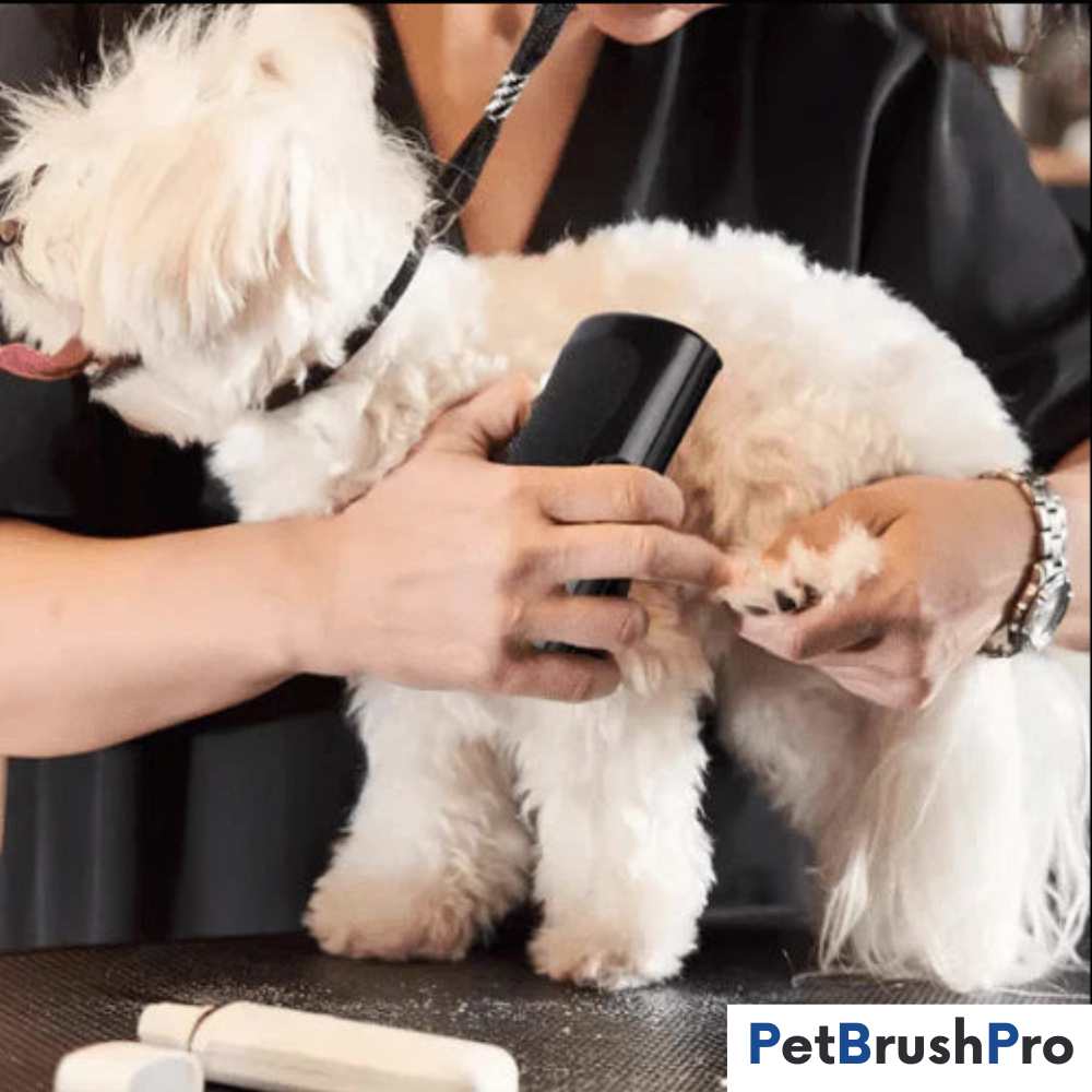 PetBrush™ Pro | Den ultimative hundebørste mod fældning og lopper