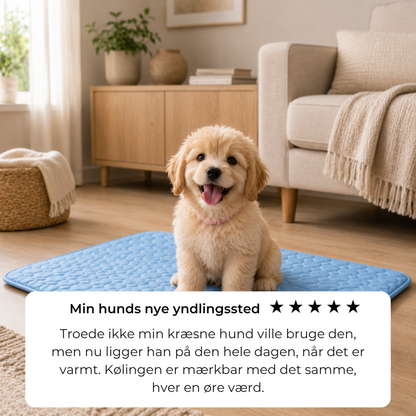 ChillPaw™ | Giv din hund et køligere sted at hvile