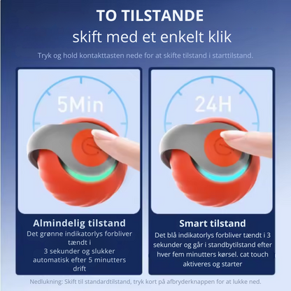 SpeedyTail™ 2.0 | Den nye konge af interaktivt legetøj til katte.