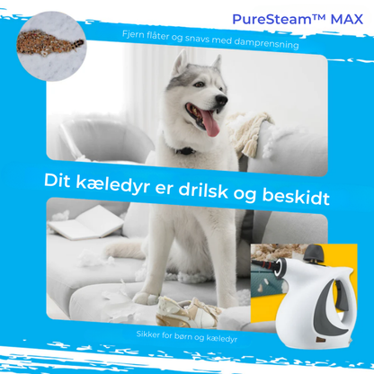 PureSteam™ MAX | Dybtgående rengøring uden kemikalier – klar på få sekunder