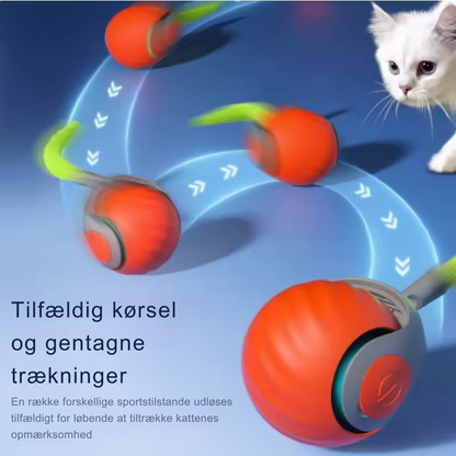 SpeedyTail™ 2.0 | Den nye konge af interaktivt legetøj til katte.