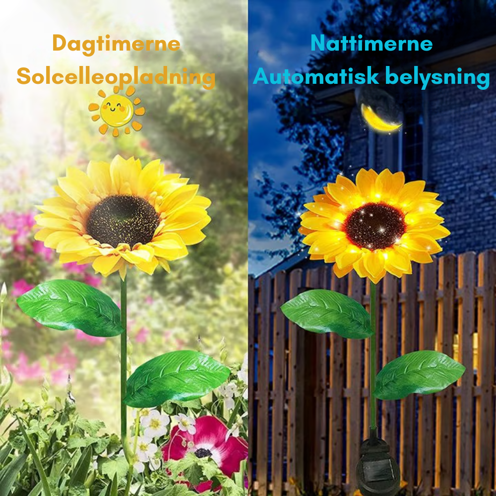 SunBloom™ | Giv haven et varmt og magisk aftenlys