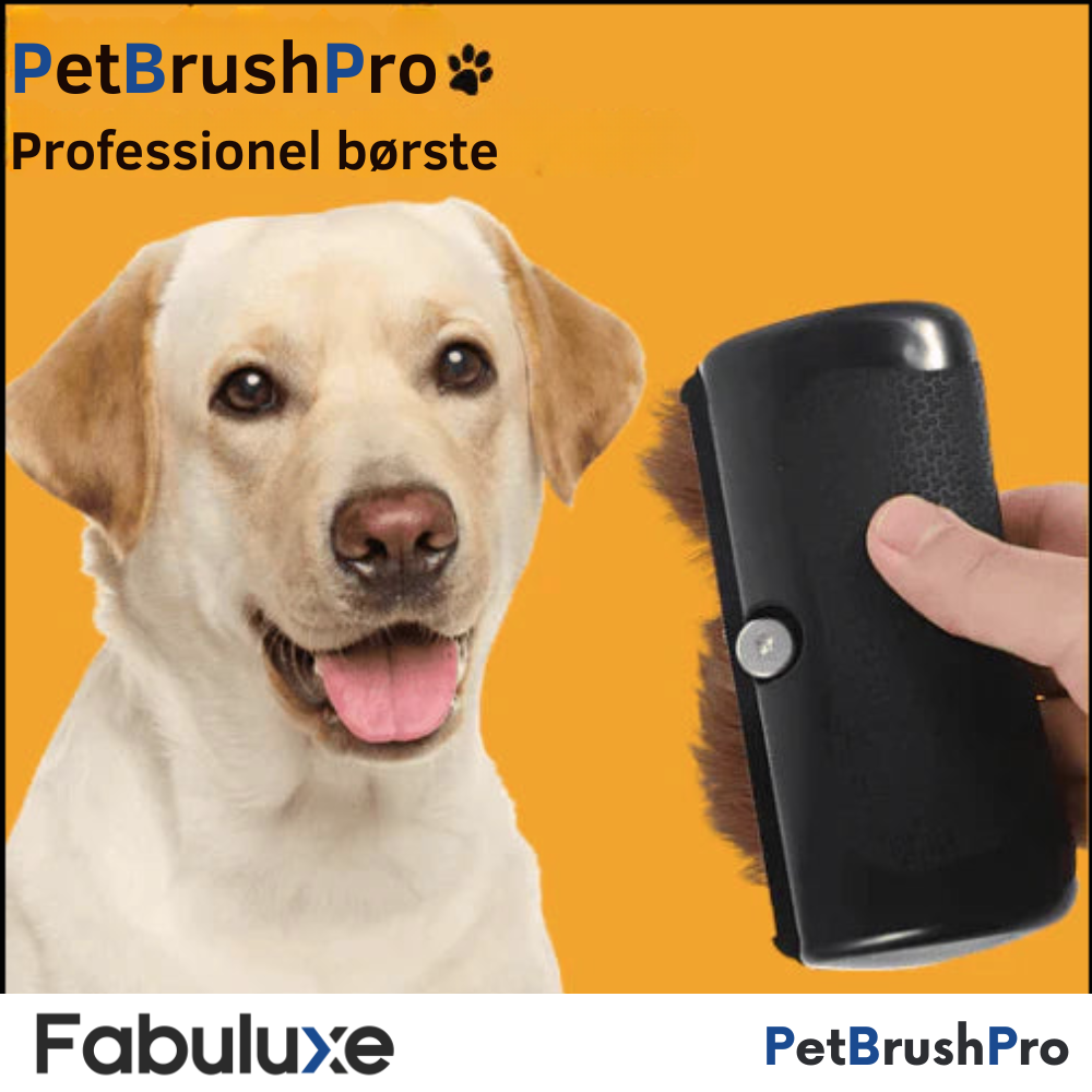 PetBrush™ Pro | Den ultimative hundebørste mod fældning og lopper
